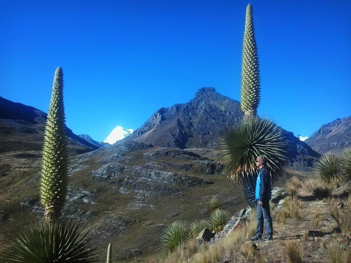 Laguna House Huaraz  Luaran gambar
